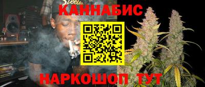 дмт Аргун