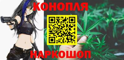дмт Аргун