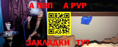 дмт Аргун