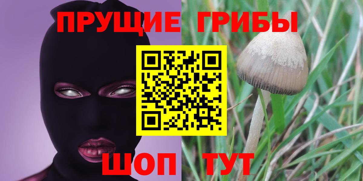 Галлюциногенные грибы GOLDEN TEACHER Астрахань